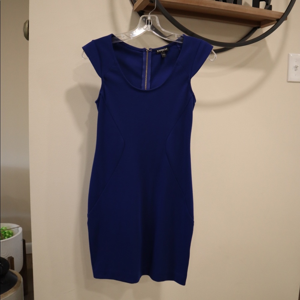 Express Blue Dress - 0